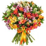 Альстромерии разноцветный микс